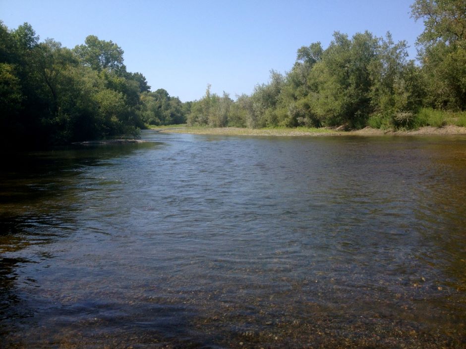 photo taken from a raft floating down the Russian River in California