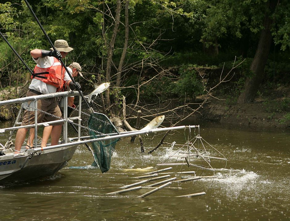 researchers using electrofishing to study Asian carp