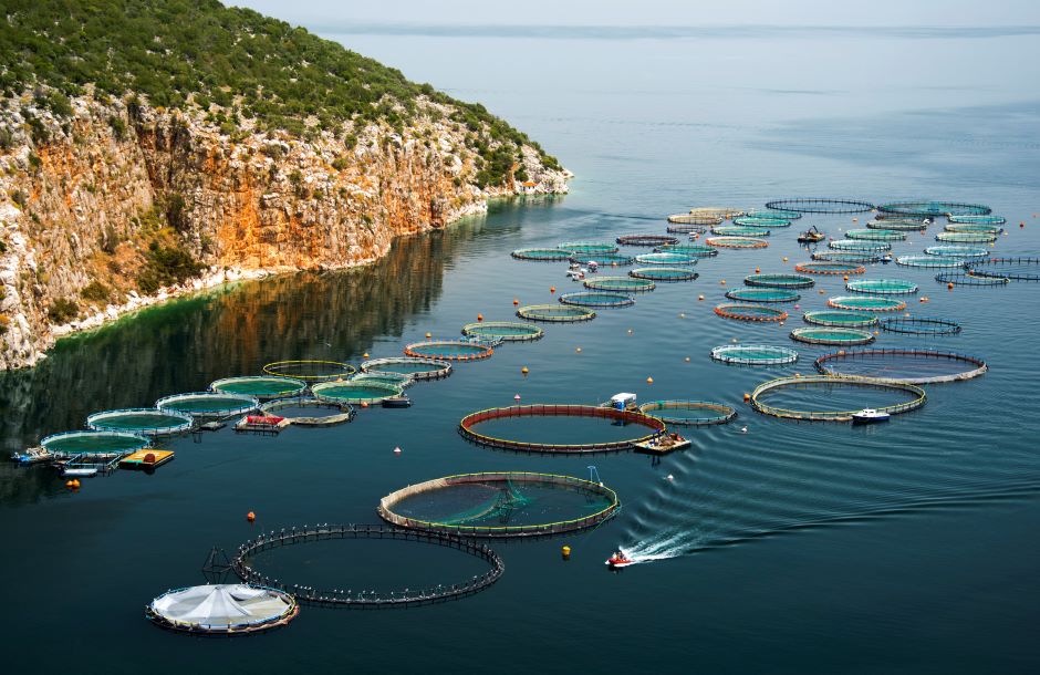 Fish farm in Saronic Gulf