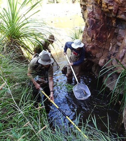 Researchers conducting fieldwork in the Kimberley