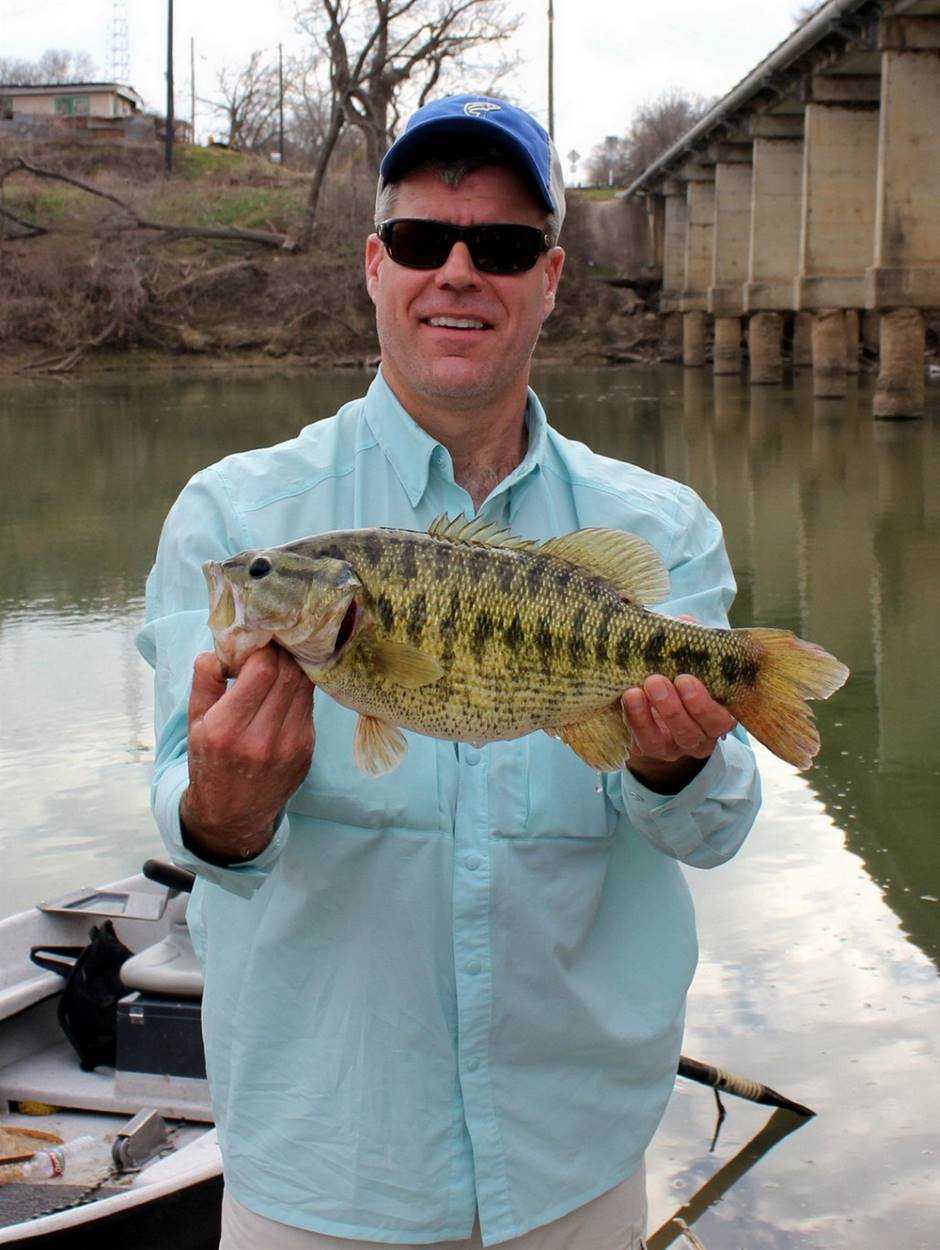 FishSens Magazine  Mass Stocking Could Help Texas' Guadalupe Bass