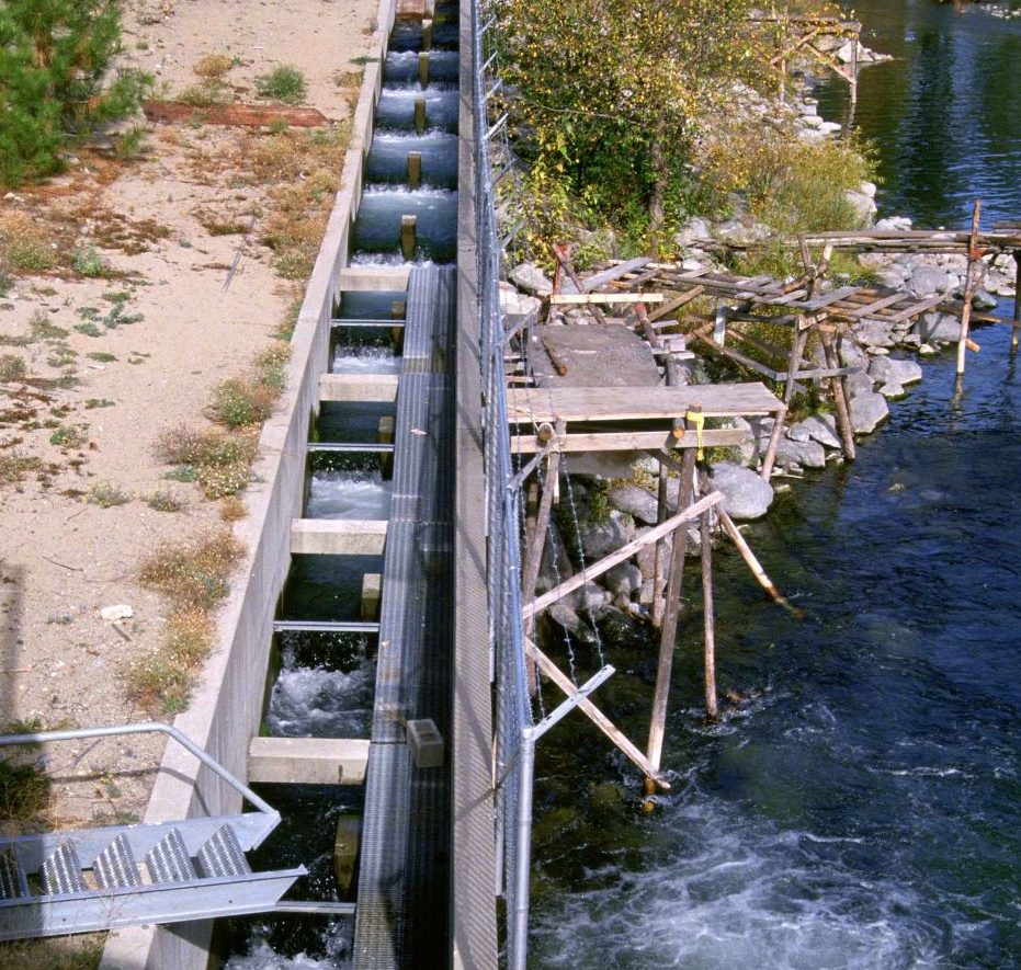 fish ladder