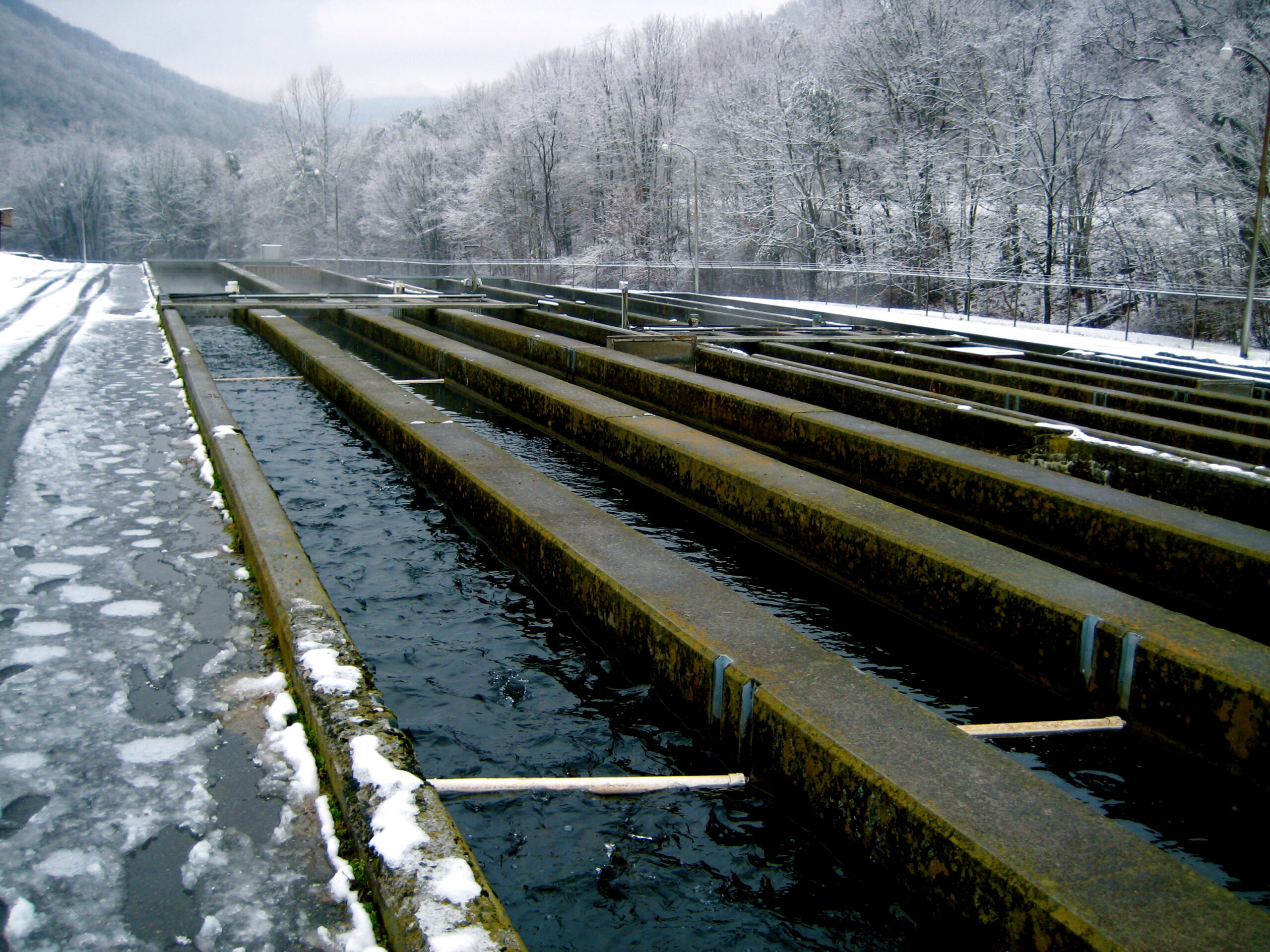 Paint Bank State Raceway Fish Hatchery