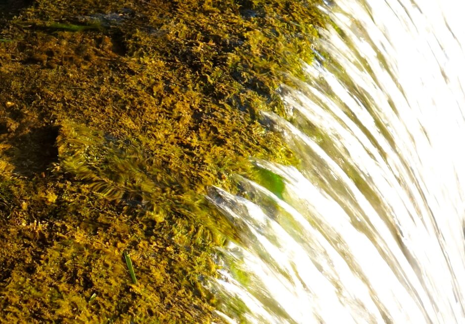 Flow at the Illinois River Watershed