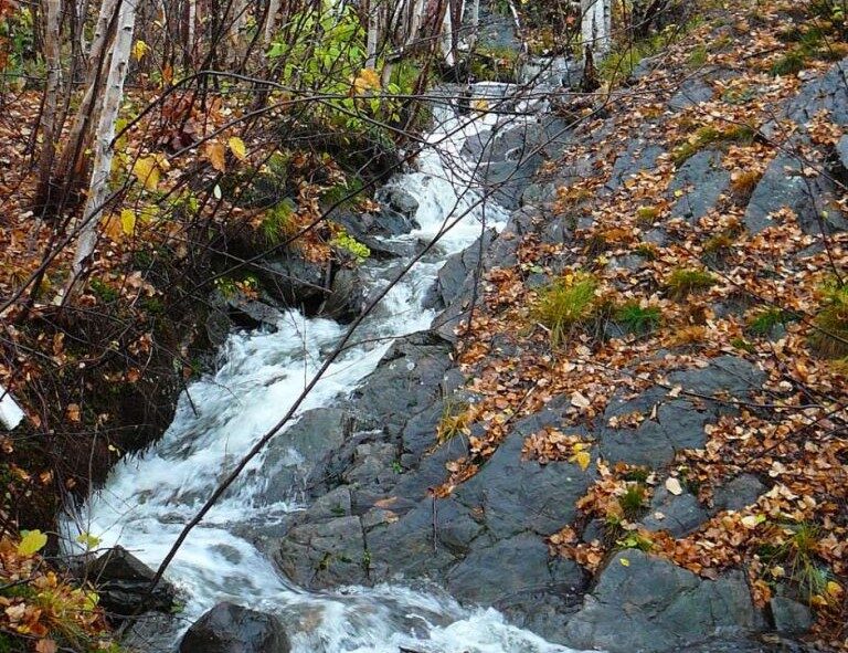 Small forest stream draining one of the study catchments in Daisy Lake, Sudbury, Ontario.