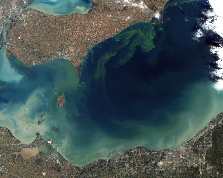 Lake Erie contains enough blue green algae to sustain a population of invasive carp.