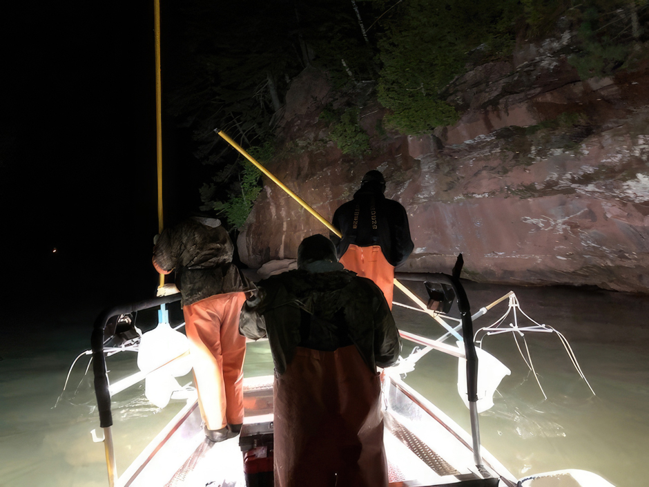 Red Cliff spring shoreline electrofishing survey--similar to many others that have been done since 2014 along the Bayfield Peninsula. The purpose is to index Coaster abundance and survey Coaster population demographics (wild or stocked, size/age composition)