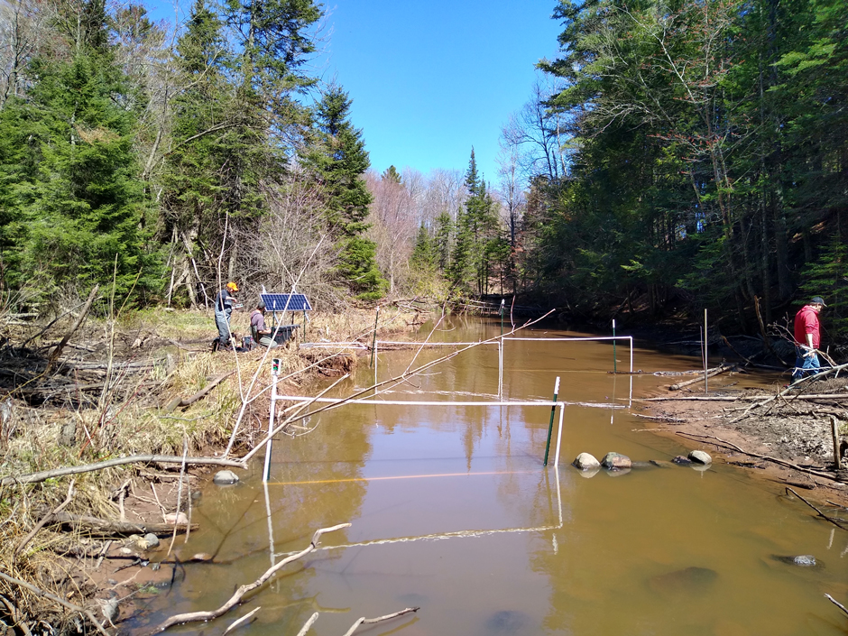 PIT tag station at Chicago Creek. Picture is taken facing downstream towards Lake Superior. The antennae are a pass-through design which maximizes tag detection. 
