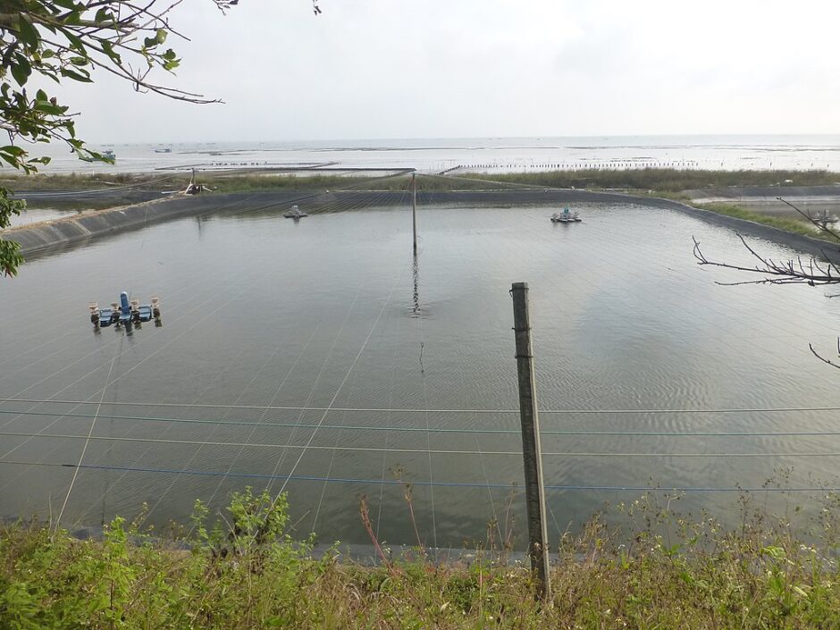 An aquaculture pond located along the south shore of Donghai Island, Guangdong. (East of Guitou Village). Such facilities are tied to high nitrous oxide emmissions.