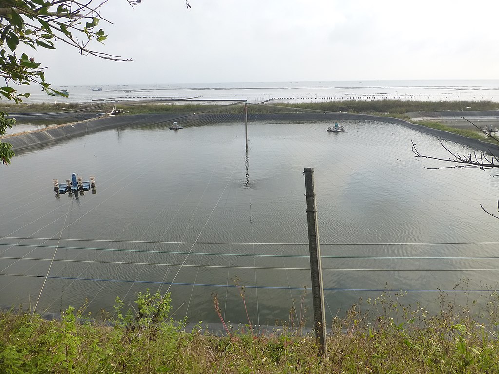 An aquaculture pond located along the south shore of Donghai Island, Guangdong. (East of Guitou Village). Such facilities are tied to high nitrous oxide emmissions.