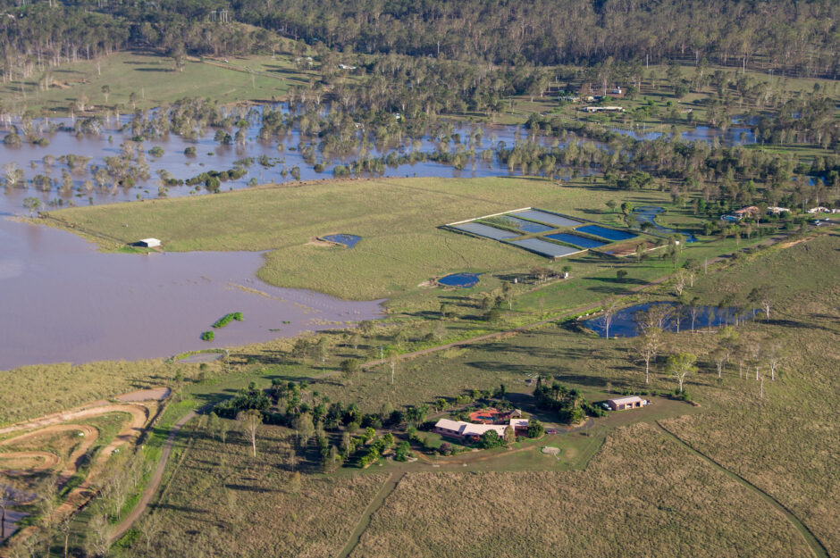 Aquaculture along Bingera Weir Road in South Bingera Locality.